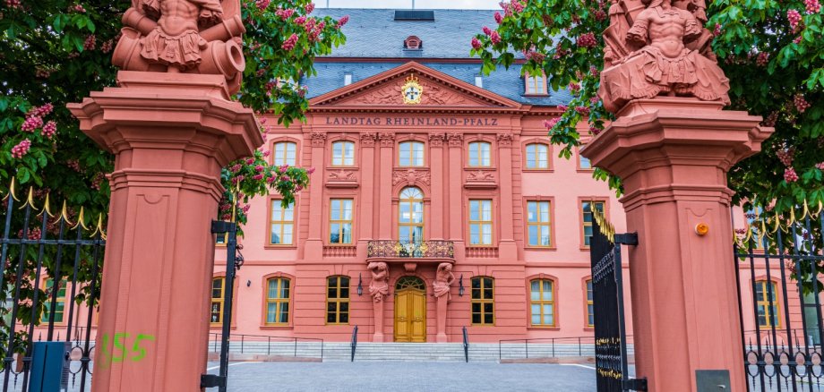 Der rheinland-pfälzische Landtag.