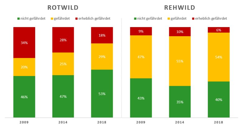 Landesweite Ergebnisse der Forstbehördlichen Stellungnahmen zum Einfluss von Rot- und Rehwild auf das waldbauliche Betriebsziel in kommunalen Eigenjagdbezirken und gemeinschaftlichen Jagdbezirken (2009, 2014, 2018) jeweils in % der repräsentierten Waldfläche. Quelle: Landesforsten Rheinland-Pfalz.