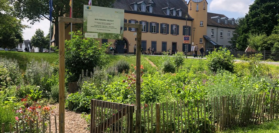 Der Schlossgarten in Gau-Algesheim ist eines der Agroforst-Projekte.  Bild: Kreisverwaltung Mainz-Bingen, UEBZ