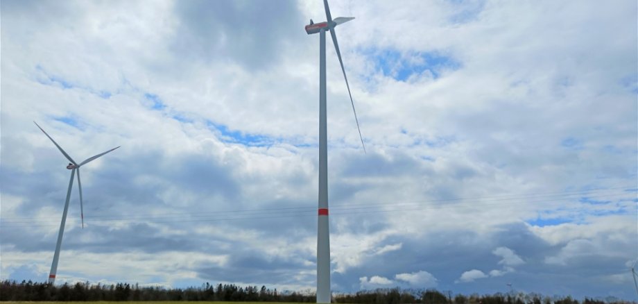 Zwei der Windräder im Windpark Kröppen I.