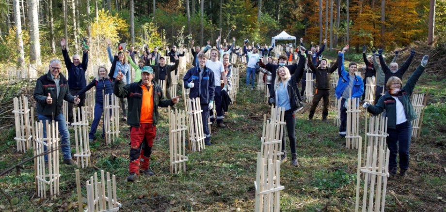 Die Belegschaft macht mit: Forstwirte und Mitarbeitende der Stadtwerke Kaiserkautern (SWK) haben 500 neue Bäume im SWK-Klimawald vor Verbiss gesichert. Im SWK-Klimawald wurden 400 Stieleichen und 100 Hainbuchen gepflanzt. Die Pflanzaktion ist Teil des Nachhaltigkeitskonzeptes der SWK. 