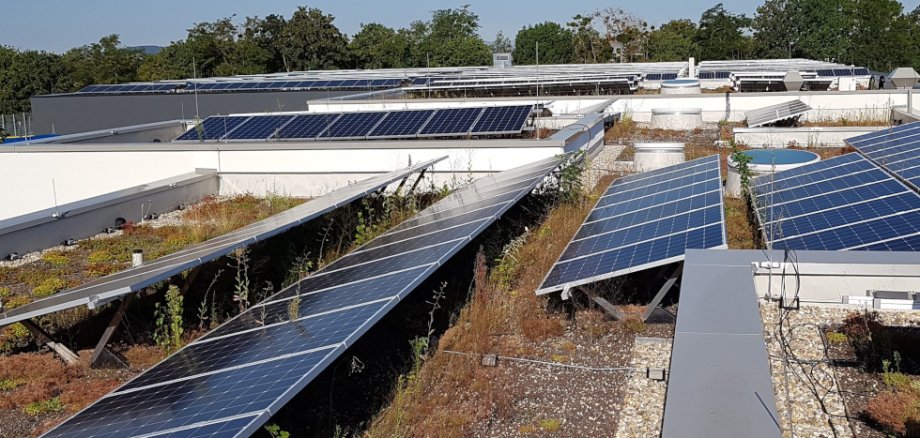 Die installierten Photovoltaikanlagen decken überwiegend den Eigenstrombedarf des Bildungs- und Sportzentrums. Pro Jahr können von rund 178 Tonnen klimaschädliches Kohledioxid vermieden werden. Foto: Stadt Koblenz