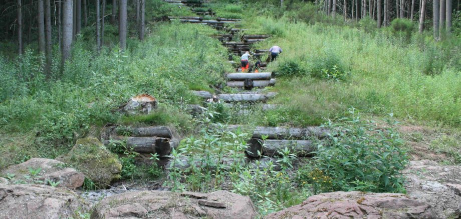 Naturnaher Holzkastenverbau zur Ableitung von Oberflächenwasser