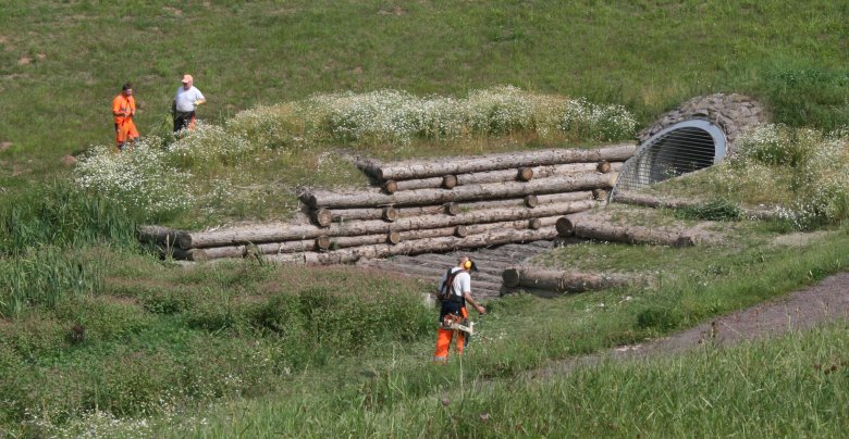 Naturnaher Holzkastenverbau zur Ableitung von Oberflächenwasser